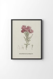 Related product image epiqart Paintings