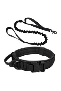 Related product image Dog Collars