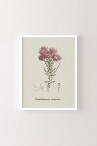 Related product image epiqart Paintings