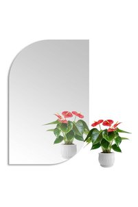 Related product image Generic Mirror