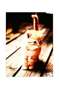 Related product image Generic Decorative Object & Figurine
