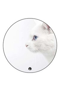 Related product image Generic Decorative Object & Figurine