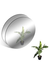 Related product image Generic Mirror