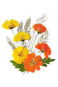 Related product image Generic Decorative Object & Figurine