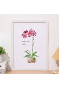 Related product image Generic Photo