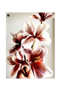 Related product image Generic Decorative Object & Figurine