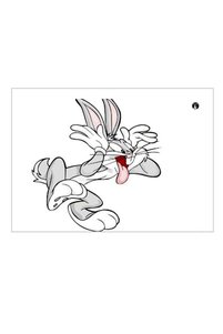 Related product image Generic Decorative Object & Figurine