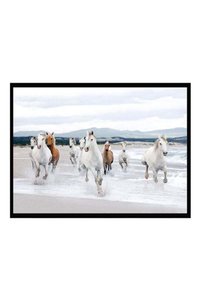 Related product image Generic Photo