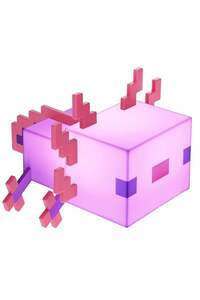 Related product image Generic Decorative Object & Figurine