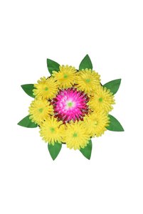 Related product image Generic Decorative Object & Figurine