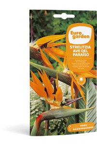 Related product image EURO GARDEN Seed