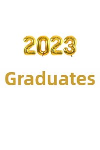 Related product image Happyland Balloons