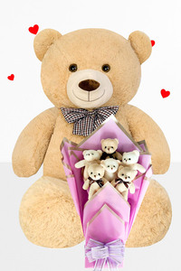 Related product image Sole Plush Toys