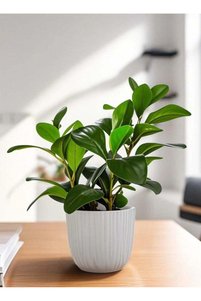 Related product image Generic Artificial Flowers