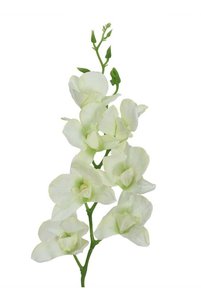 Related product image Generic Artificial Flowers