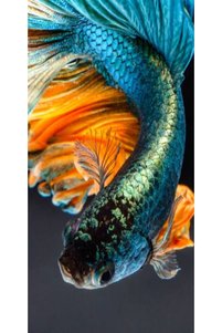Related product image Atlas Phone Case