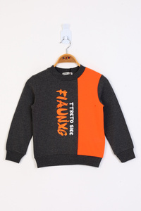 Related product image Toontoy Sweatshirts