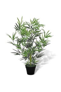 Related product image Ivy Plant
