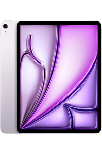 Apple 13