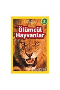 Related product image Beta Kids Novel