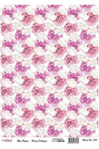 Related product image Cadence Artistic Papers & Pens