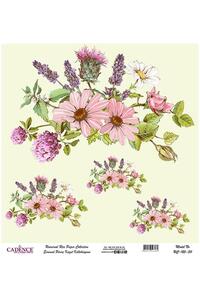 Related product image Cadence Artistic Papers & Pens