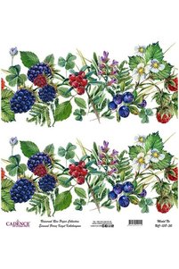 Related product image Cadence Artistic Papers & Pens
