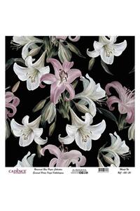 Related product image Cadence Artistic Papers & Pens