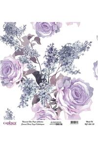 Related product image Cadence Artistic Papers & Pens