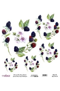 Related product image Cadence Artistic Papers & Pens