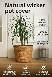 Related product image Cherry Collection Basket