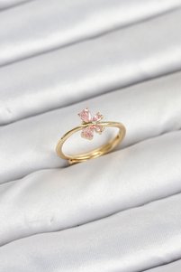 Related product image Skygo Bijou Rings