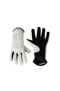 Related product image The North Face Gloves