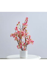 Related product image Danube Home Flower Pot