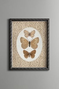 Related product image epiqart Paintings