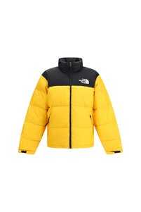 Imaginea produsului asociat The North Face Jachete de iarnă