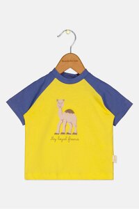 Related product image Sophie La Girafe T-Shirts