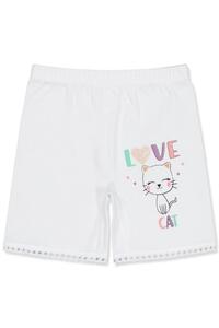 Related product image Civil Briefs