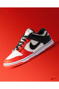 Nike Dunk Low EMB NBA 75th Anniversary Chicago SNEAKER-DD3363-100