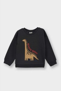 Related product image Defacto Sweatshirts