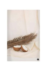 Related product image Generic Decorative Object & Figurine