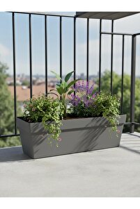 Bliss Serinova Yalı Saksı 10,8 lt 51 cm Plastik Bahçe Balkon