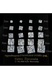 Related product image Choice Steel Earrings