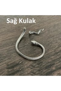 Related product image Viking Steel Earrings