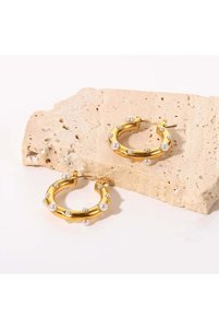 Related product image Viva Steel Earrings