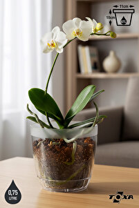 ToXA 0,75 lt Kristal Orkide Saksısı Tabaklı Şeffaf Plastik Saksı