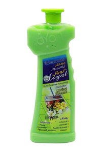 Related product image Loyal Surface Cleaner