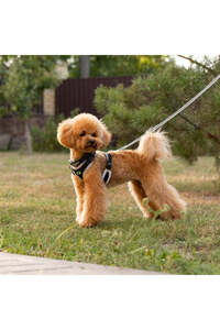 Related product image Ferplast Dog Accessories