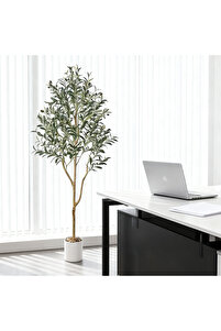 123 plants Large Lady Palm Houseplant with Planter - Large (3-4' tall) Cream Planter main image 0