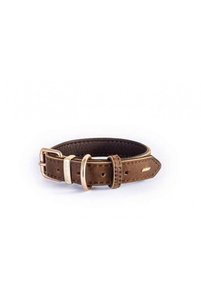 Related product image Ezydog Dog Accessories